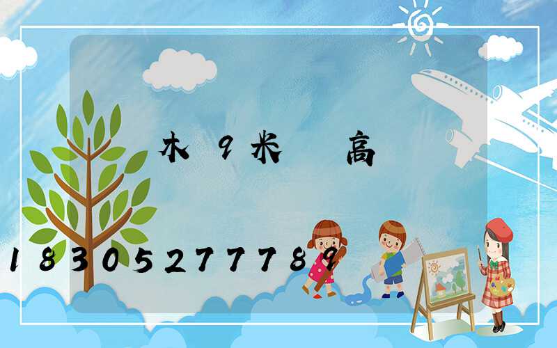 烏魯木齊9米廣場高桿燈