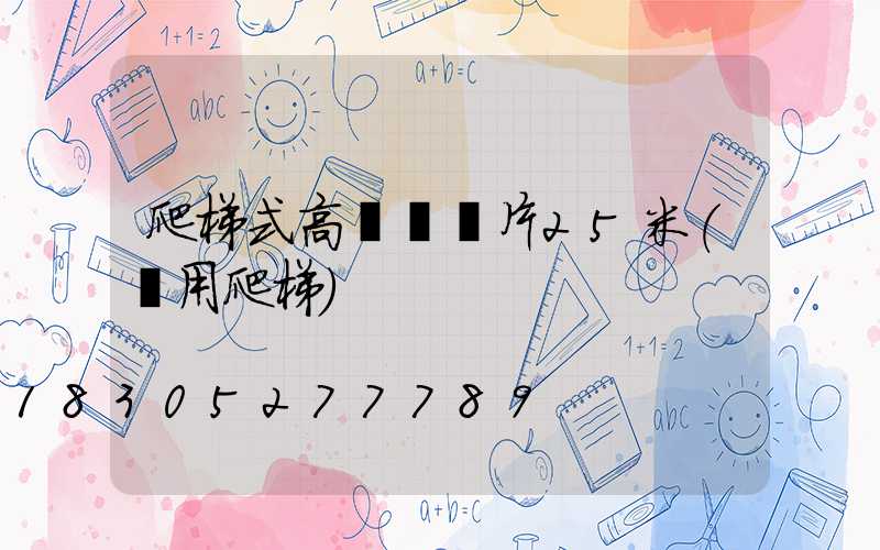 爬梯式高桿燈圖片25米(專用爬梯)