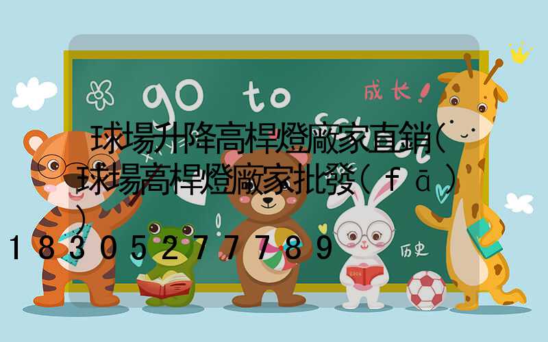 球場升降高桿燈廠家直銷(球場高桿燈廠家批發(fā))