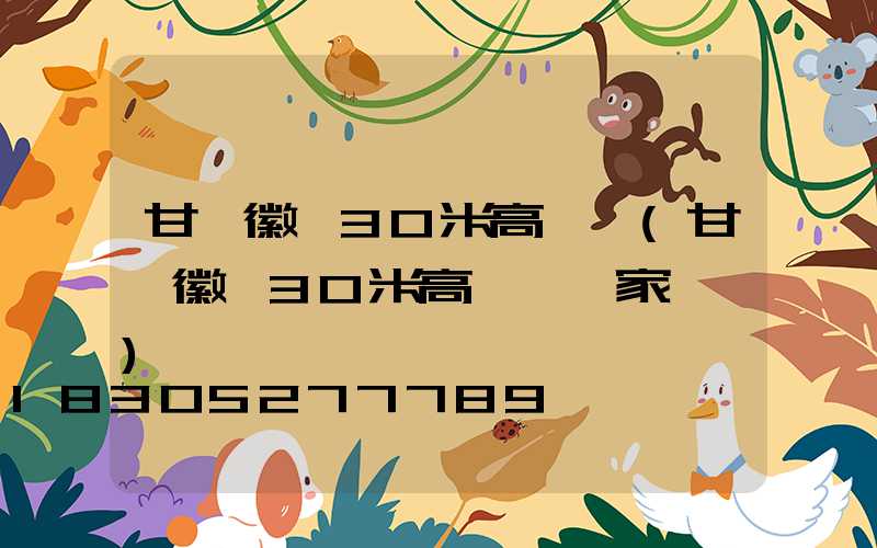 甘肅徽縣30米高桿燈(甘肅徽縣30米高桿燈廠家電話)