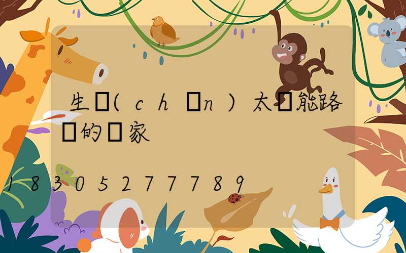 生產(chǎn)太陽能路燈的廠家