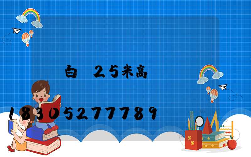 白銀25米高桿燈