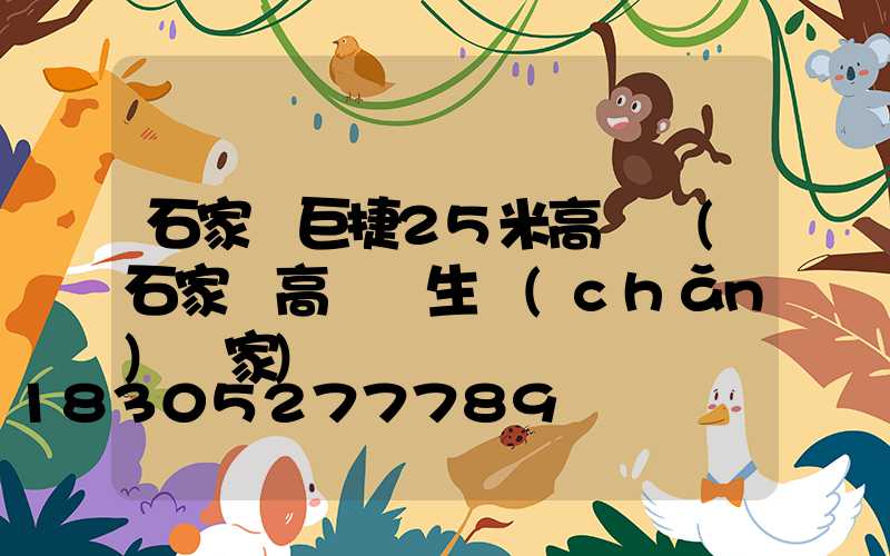 石家莊巨捷25米高桿燈(石家莊高桿燈生產(chǎn)廠家)
