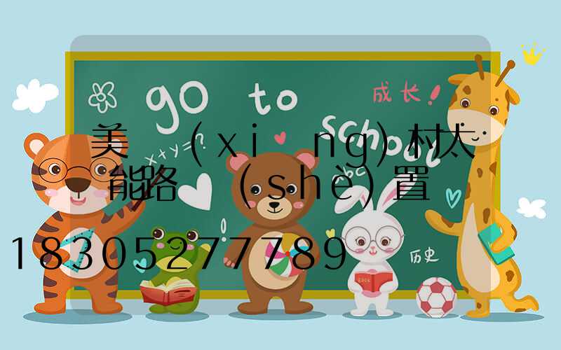 美麗鄉(xiāng)村太陽能路燈設(shè)置