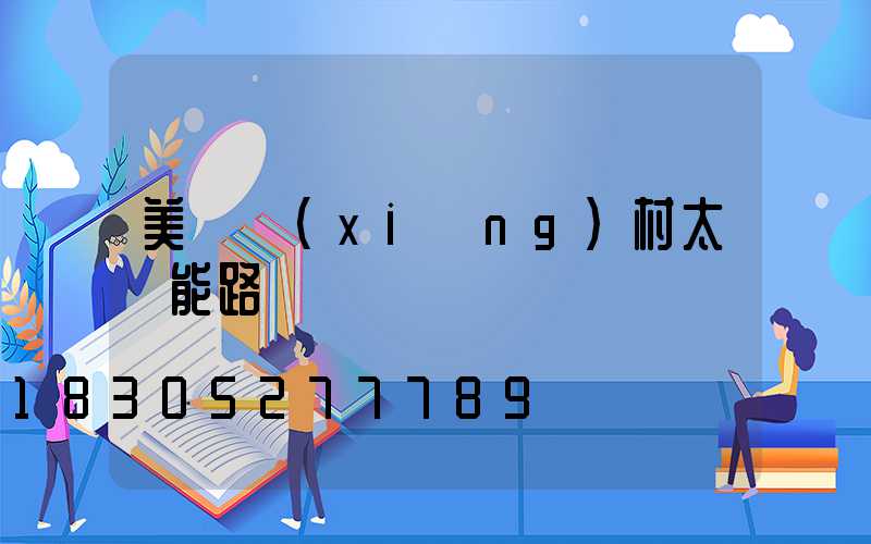 美麗鄉(xiāng)村太陽能路燈認購