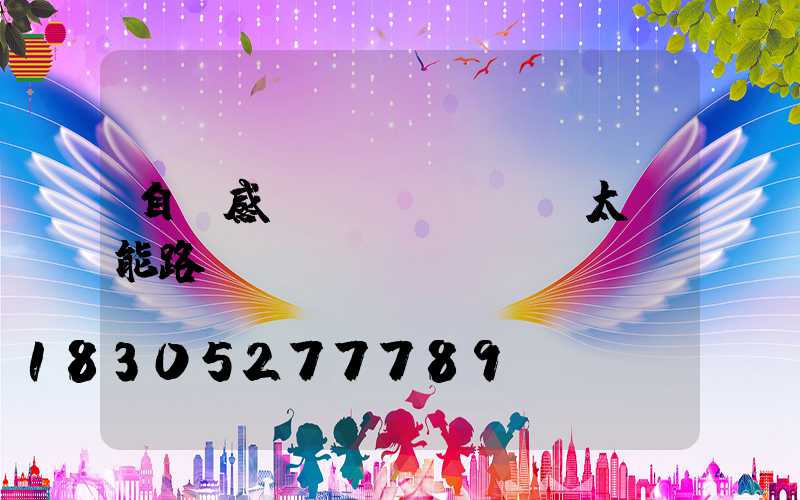 自動感應(yīng)太陽能路燈