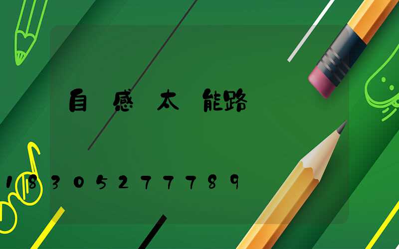 自動感應太陽能路燈