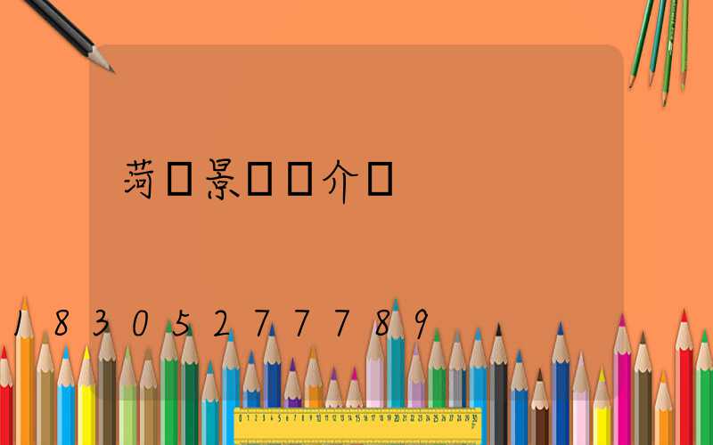 菏澤景觀燈介紹