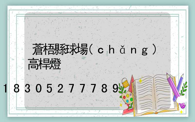 蒼梧縣球場(chǎng)高桿燈