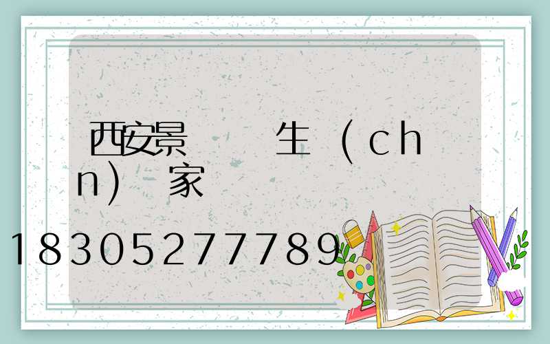 西安景觀燈籠生產(chǎn)廠家