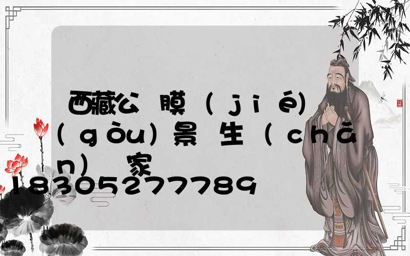 西藏公園膜結(jié)構(gòu)景觀生產(chǎn)廠家