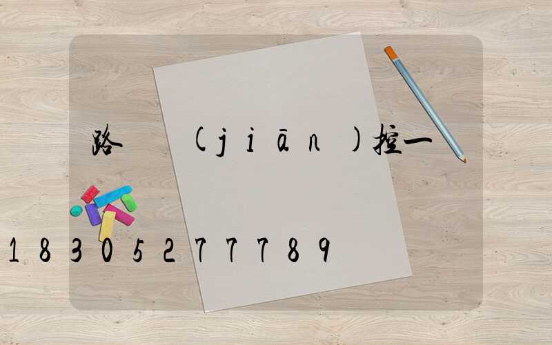 路燈監(jiān)控一體桿