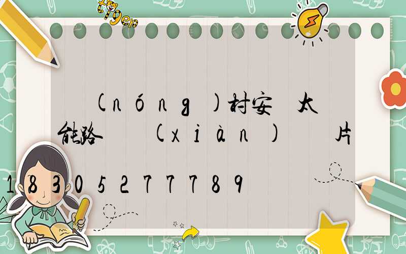 農(nóng)村安裝太陽能路燈現(xiàn)場圖片