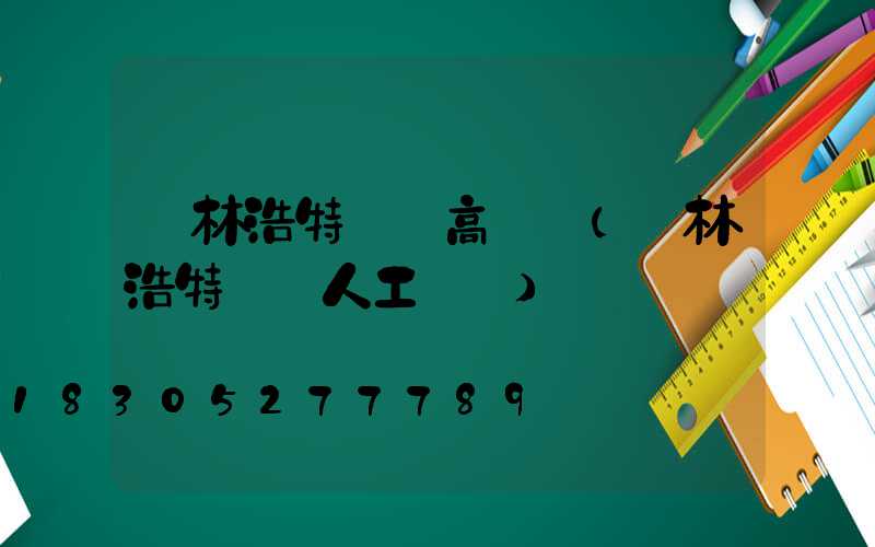 錫林浩特機場高桿燈(錫林浩特機場人工電話)