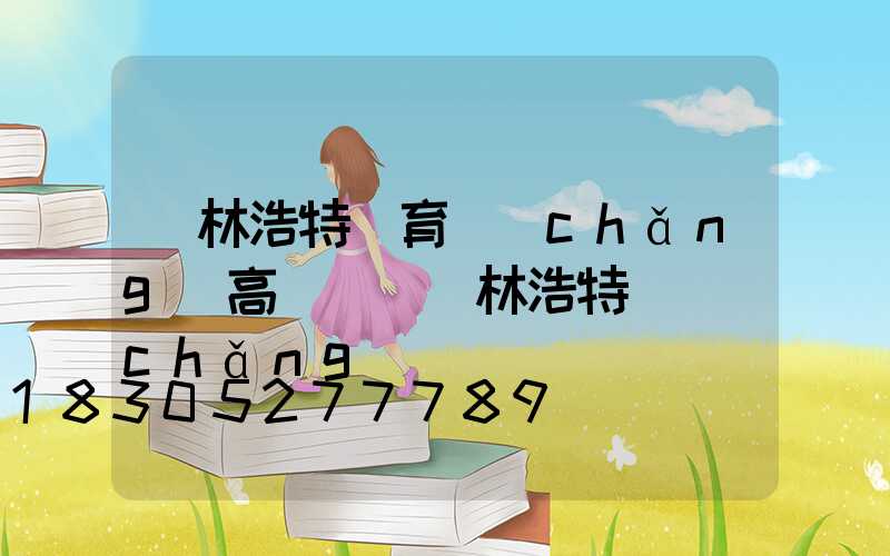 錫林浩特體育場(chǎng)高桿燈(錫林浩特廣場(chǎng))