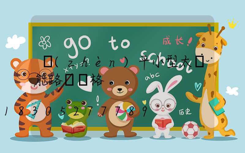 鎮(zhèn)平小型太陽能路燈價格