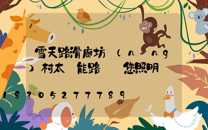 雪天路滑廊坊農(nóng)村太陽能路燈為您照明