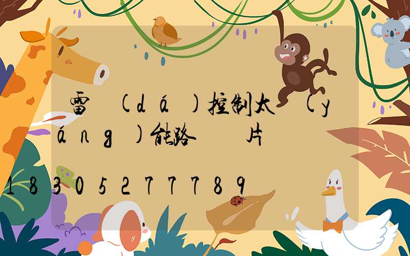 雷達(dá)控制太陽(yáng)能路燈圖片