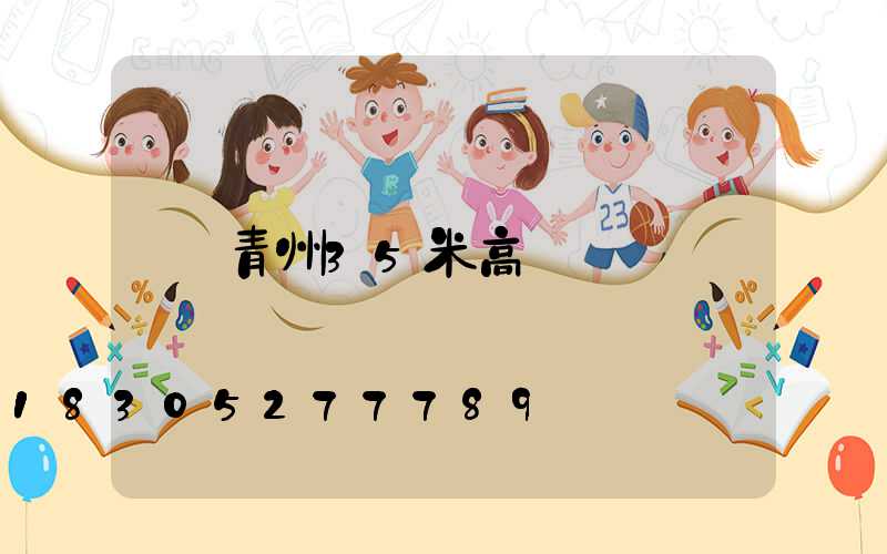 青州35米高桿燈